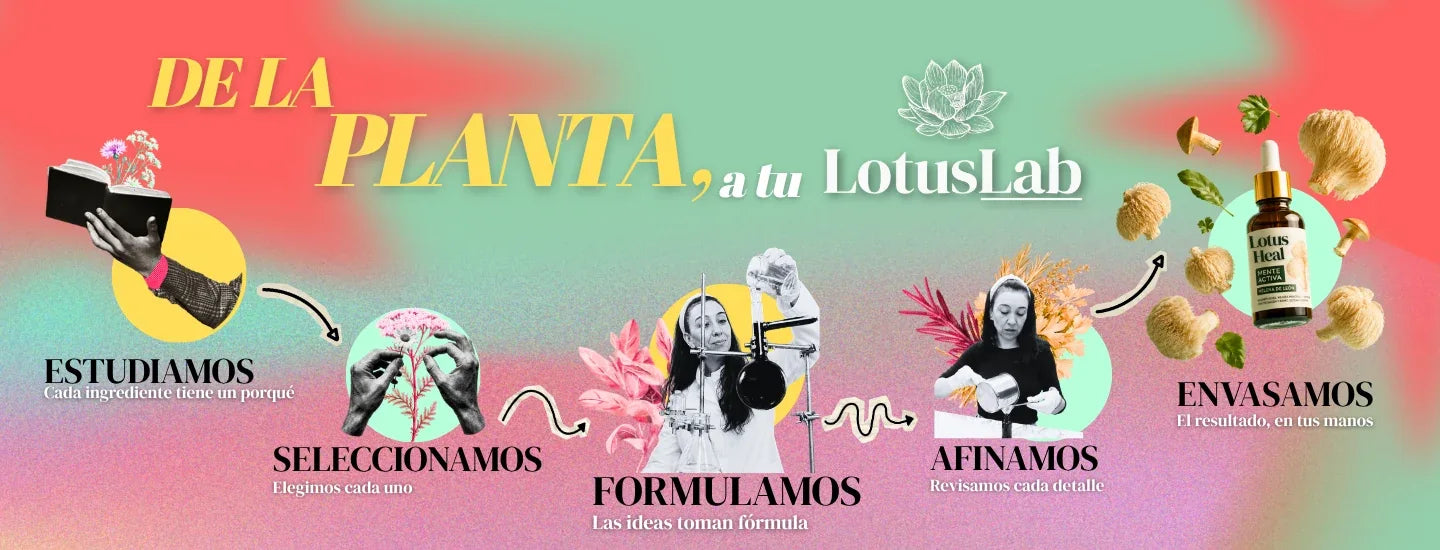 De la planta a tu LotusLab: estudiamos, seleccionamos, formulamos, afinamos y envasamos
